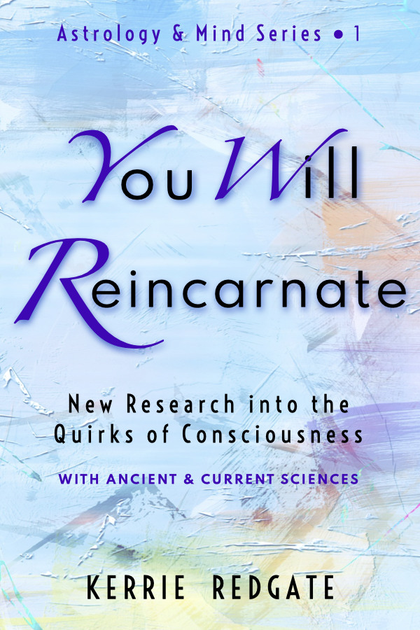 You Will Reincarnate book cover by Kerrie Redgate